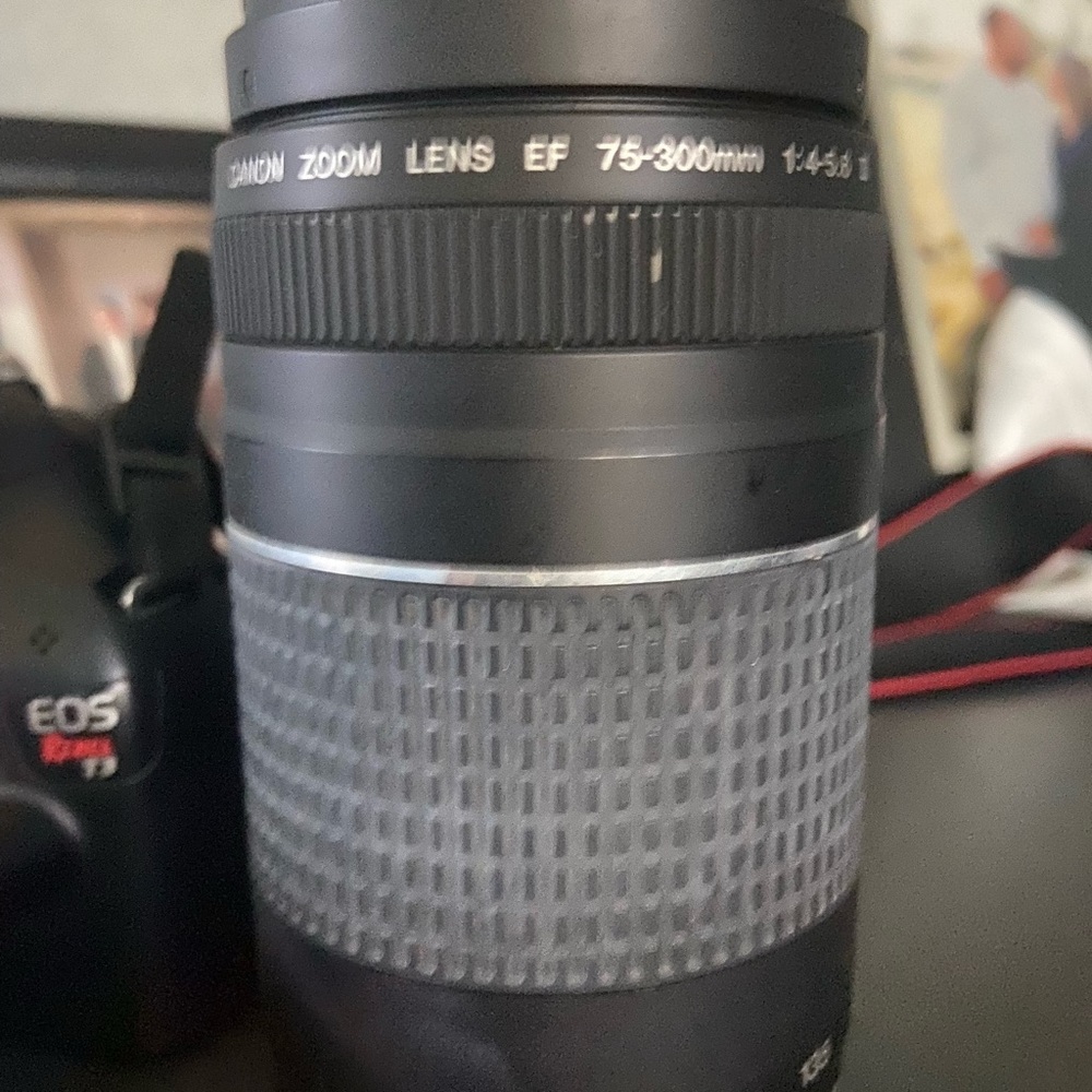 Canon Rebel T3 with 75-300mm lens